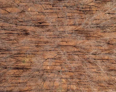 $263,000 | 6072 New Highway 7, Santa Fe, TN 38482