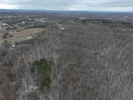 a view of a dry yard