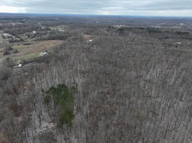 a view of a dry yard