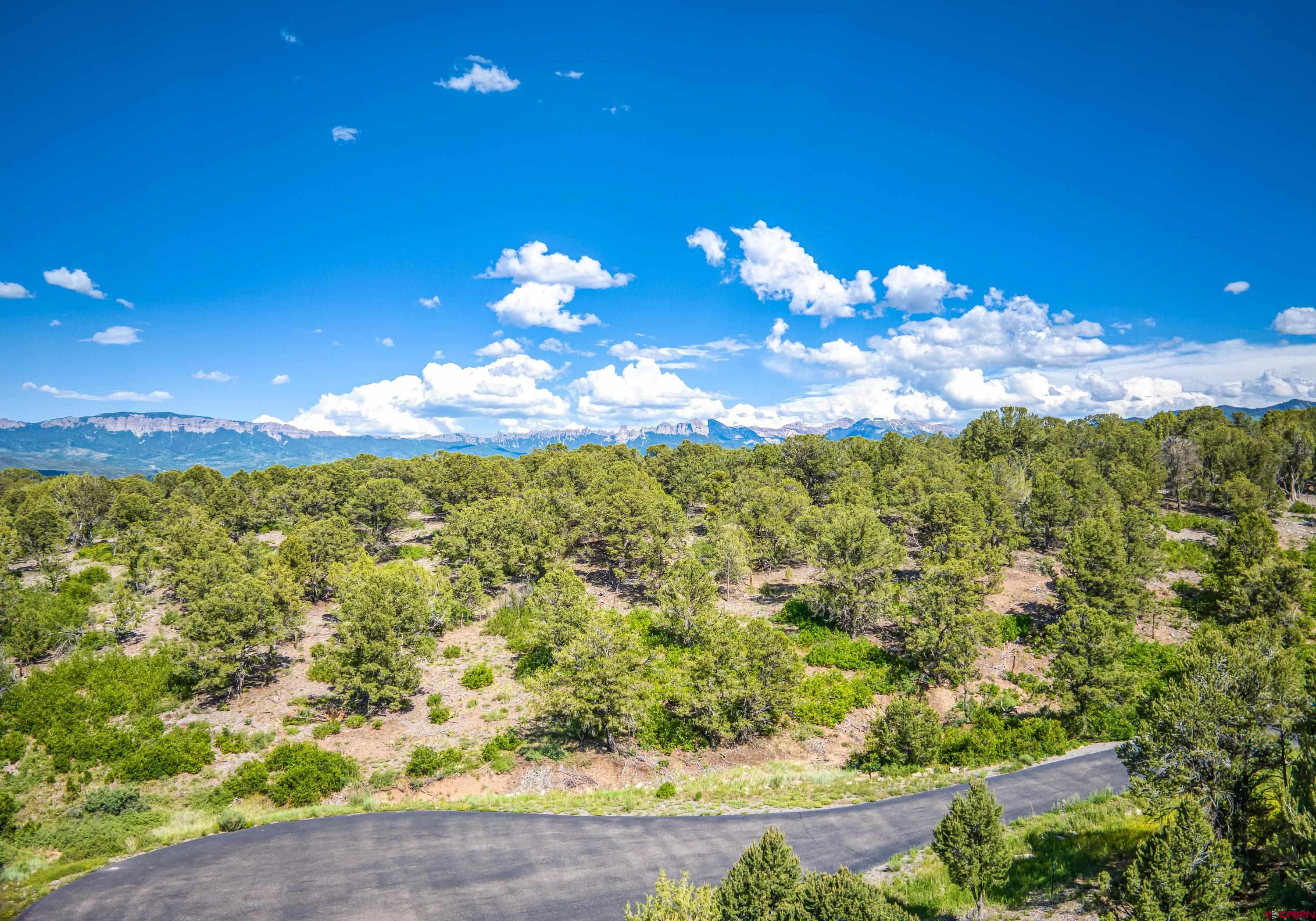 Lot 9 Pointe Escape Drive Ridgway, CO 81432 - Photo 29 of 33