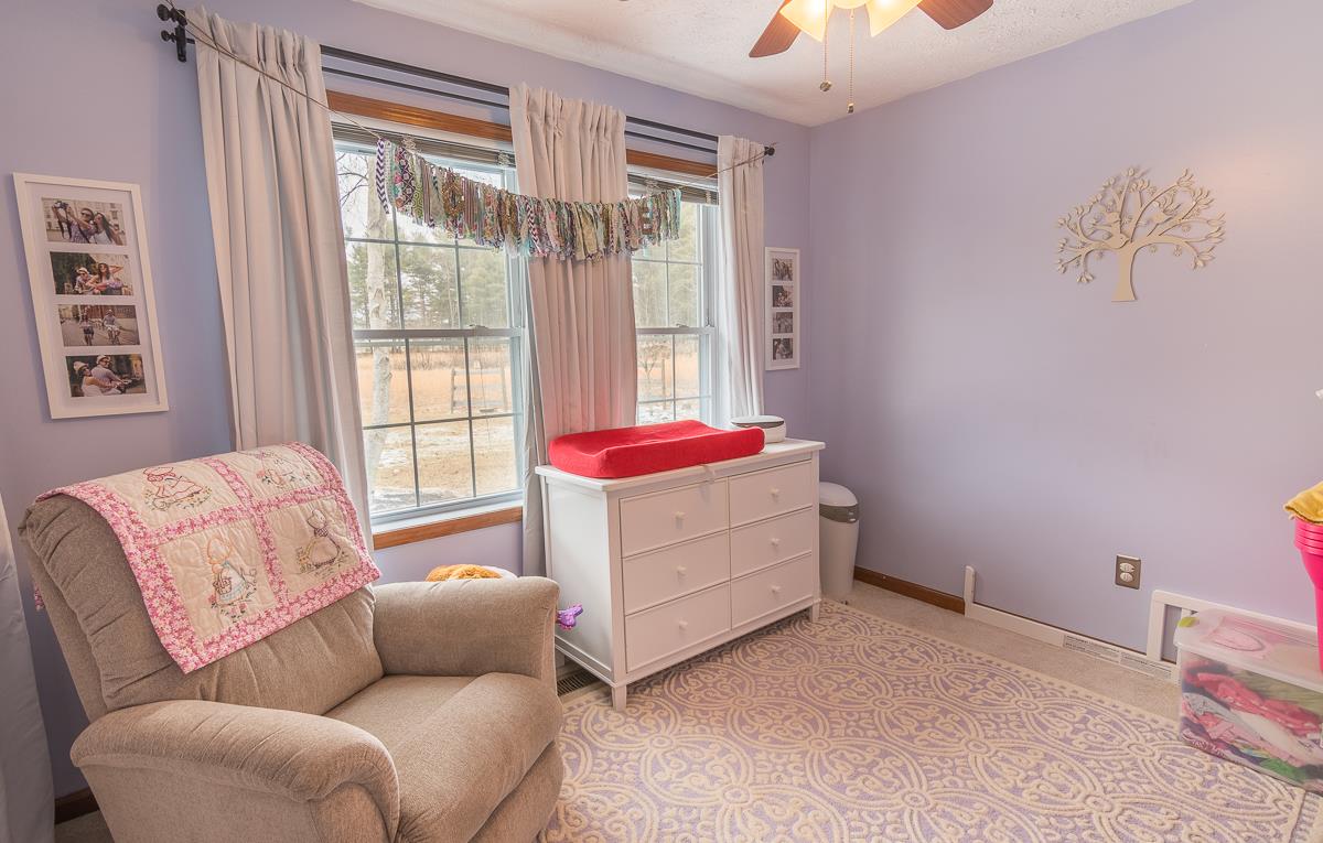 4258 Cold Springs Road Raphine, VA 24472 - Photo 37 of 50 a bedroom with furniture and a window