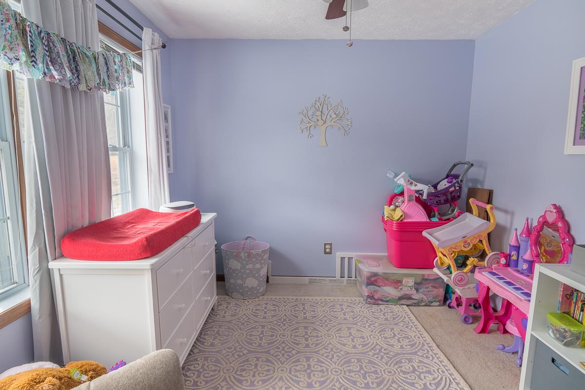 4258 Cold Springs Road Raphine, VA 24472 - Photo 38 of 50 a bedroom with a bed and window