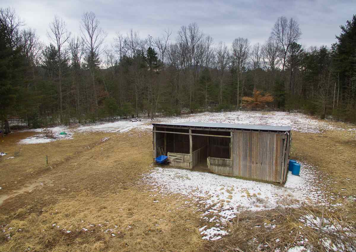 4258 Cold Springs Road Raphine, VA 24472 - Photo 47 of 50 a view of a backyard
