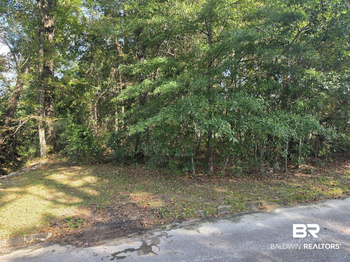 0 Glen Road Brewton, AL 36426 - Photo 1 of 2 Gallery Image 1