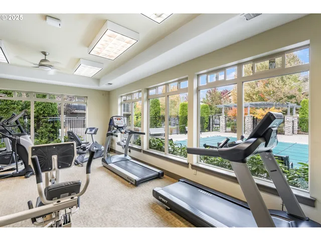 a view of a livingroom with furniture window and outside view
