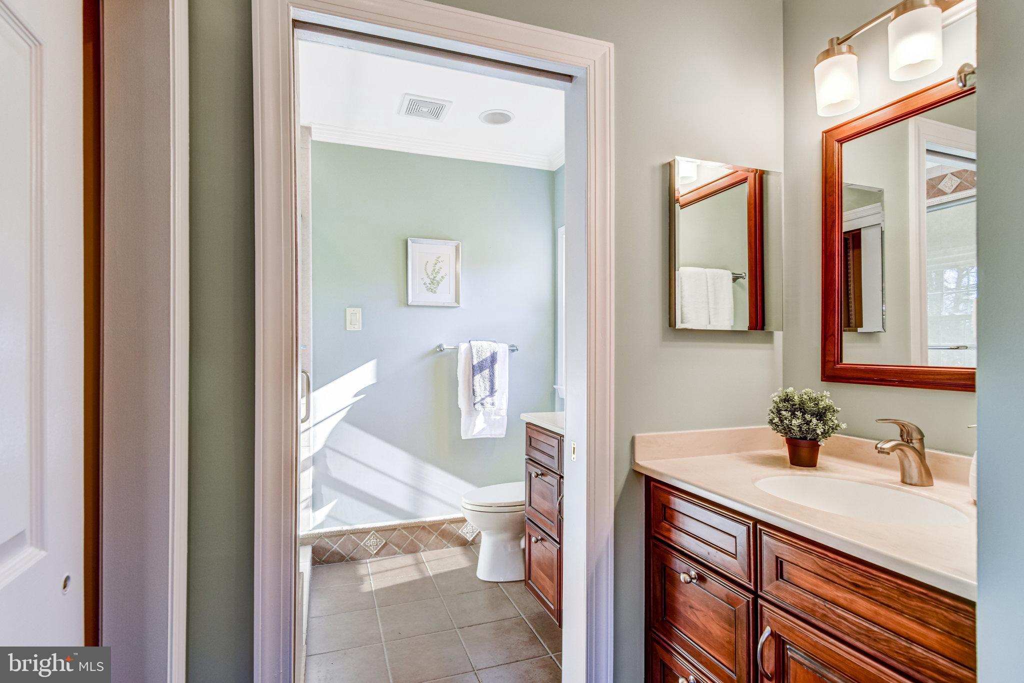 8420 Sweet Pine Court Springfield, VA 22153 - Photo 28 of 45 a bathroom with a sink and a mirror