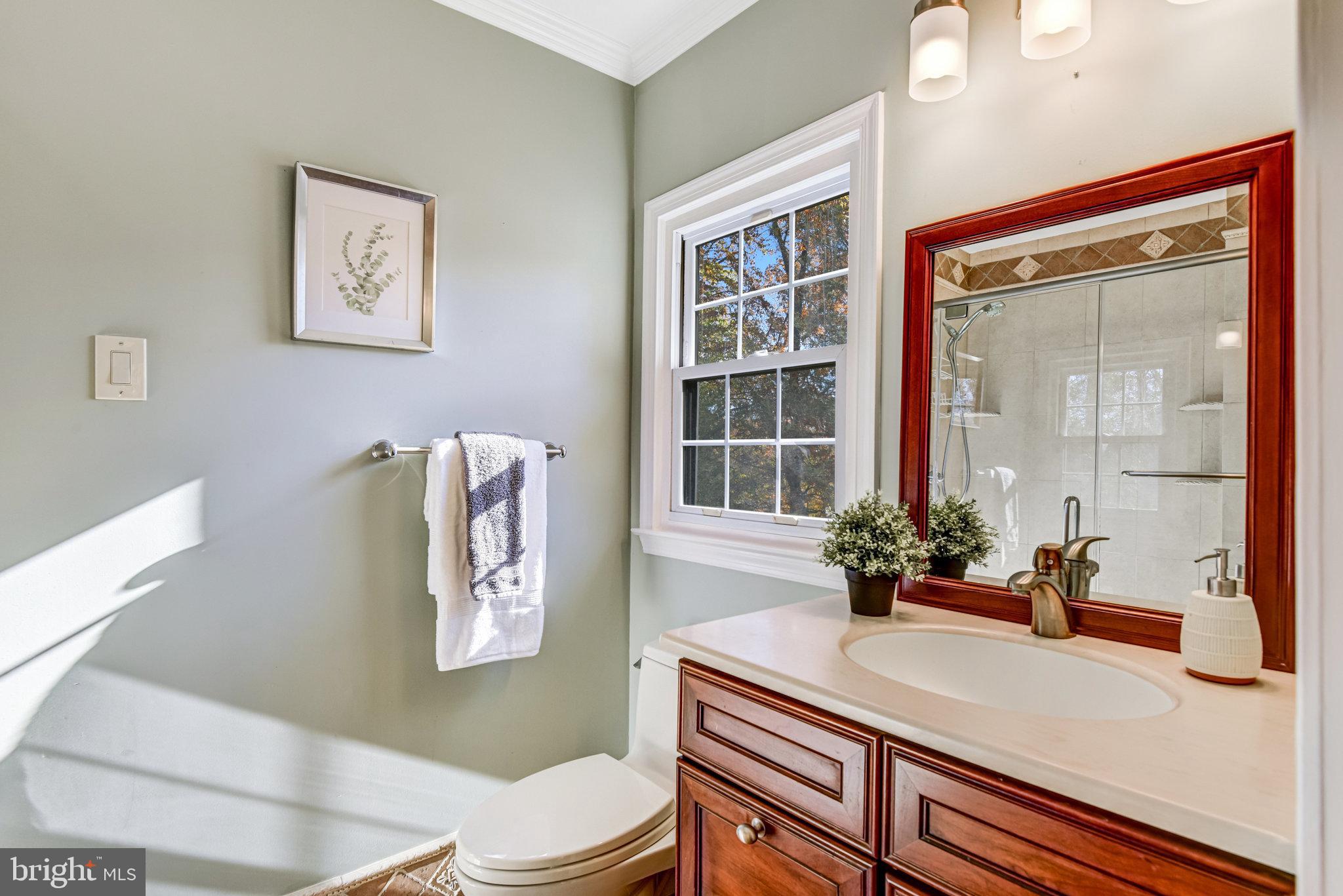8420 Sweet Pine Court Springfield, VA 22153 - Photo 29 of 45 a bathroom with a sink a toilet and a large mirror