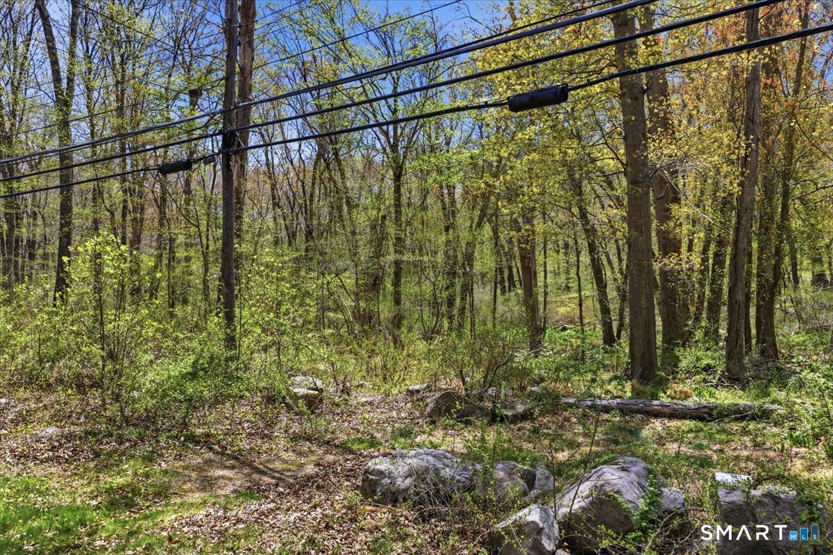 76 Dayton Road Waterford, CT 06385 - Photo 2 of 14 a view of a garden