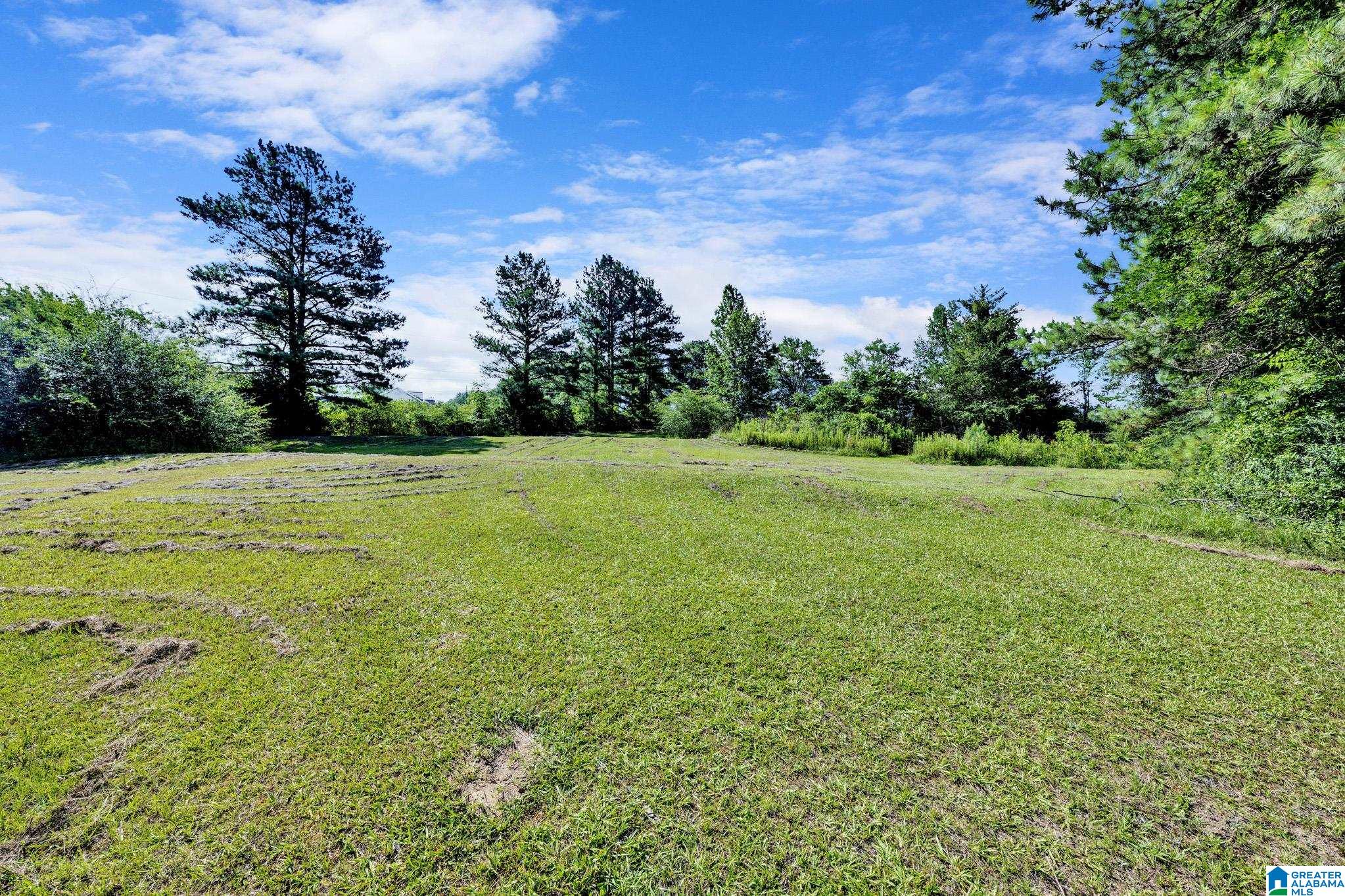 395 Hollingsworth Road Cleveland, AL 35049 - Photo 7 of 27