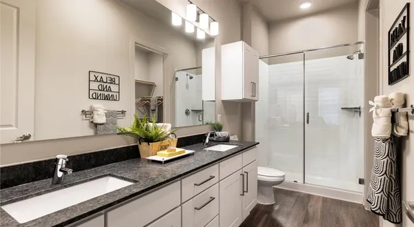 a bathroom with a double vanity sink toilet and shower
