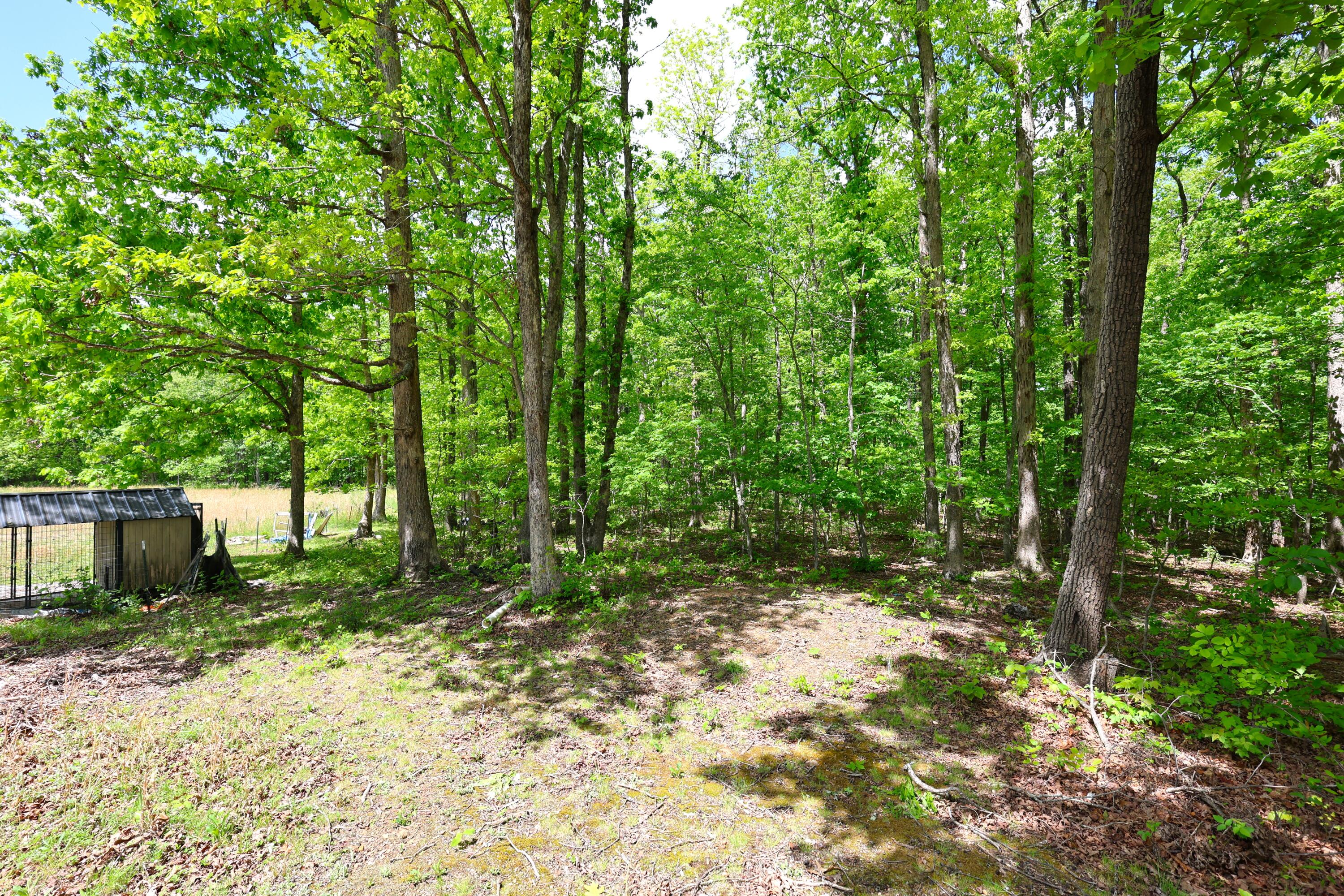 105 Stewart Fork Road Ravenna, KY 40472 - Photo 56 of 59 View from just behind the garage/workshop