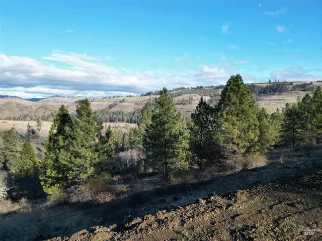 $110,000 | Tbd Tbd Canyon Road, Kooskia, ID 83539