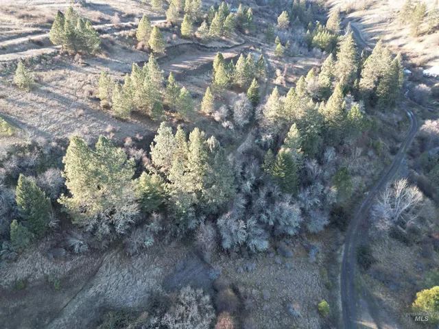 $110,000 | Tbd Tbd Canyon Road, Kooskia, ID 83539