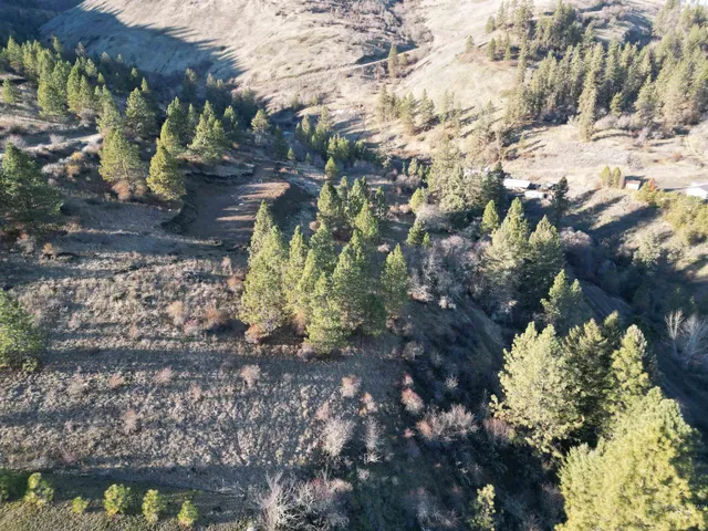 $110,000 | Tbd Tbd Canyon Road, Kooskia, ID 83539