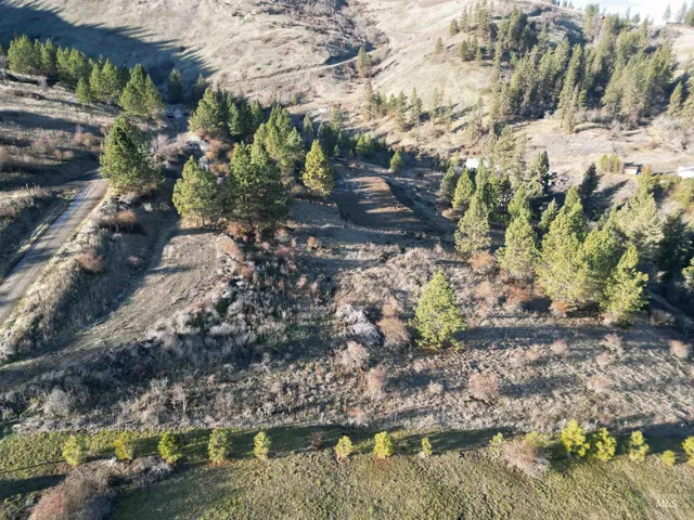 $110,000 | Tbd Tbd Canyon Road, Kooskia, ID 83539