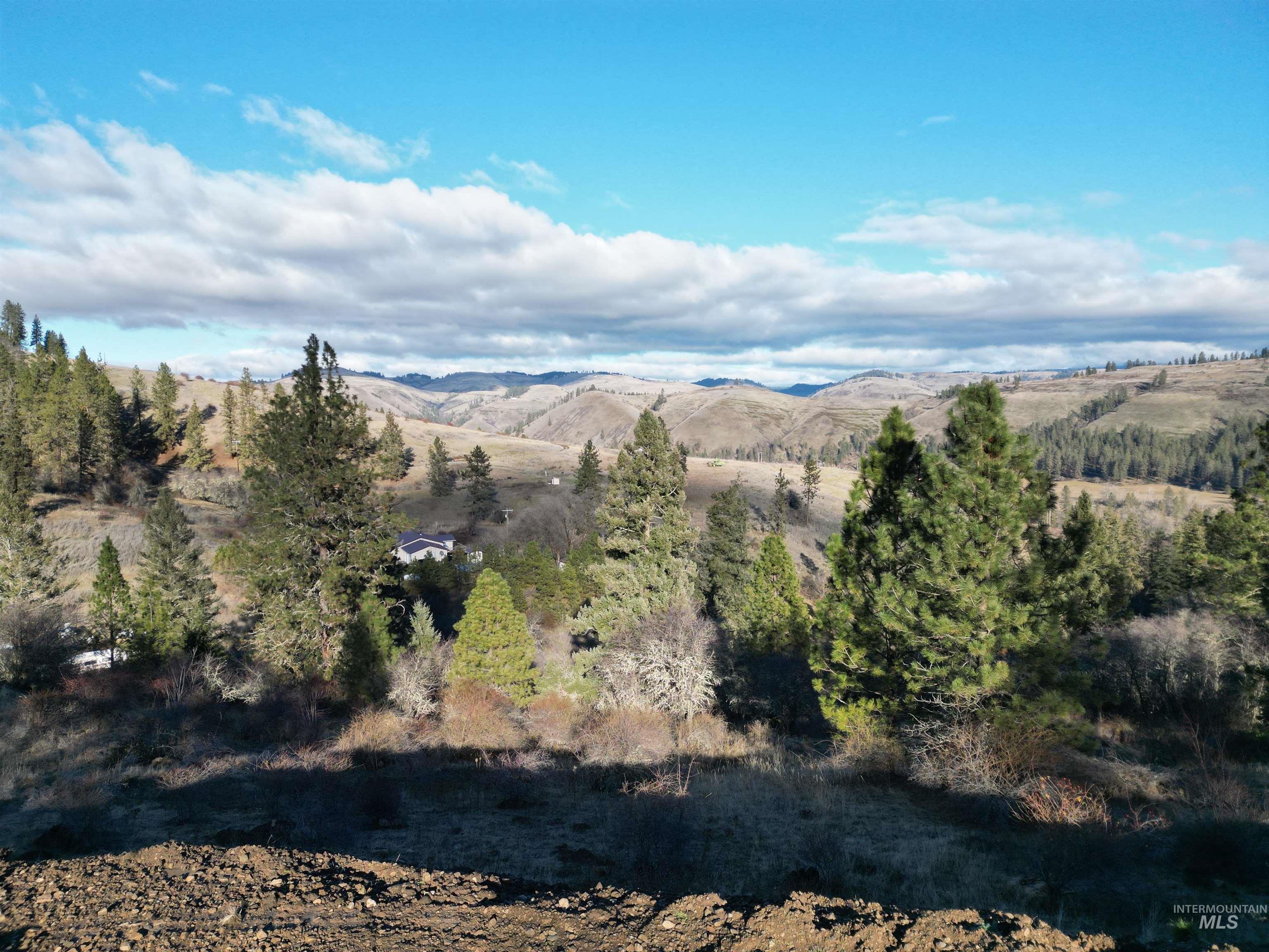 Tbd Tbd Canyon Road Kooskia, ID 83539 - Photo 2 of 42