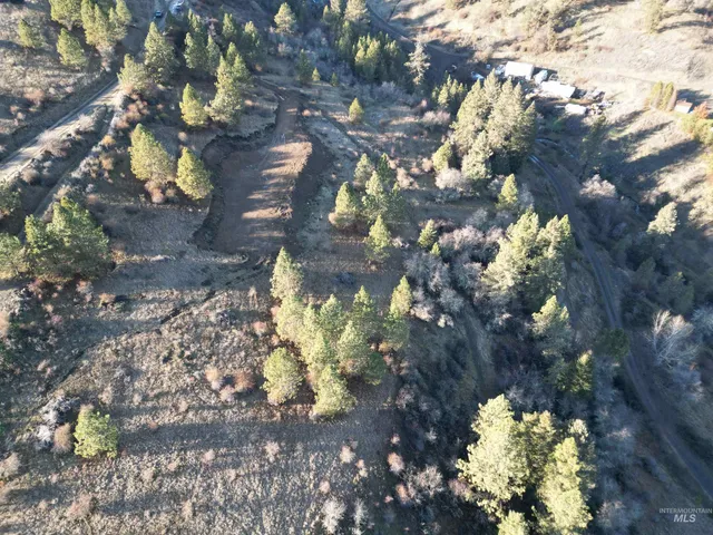 $110,000 | Tbd Tbd Canyon Road, Kooskia, ID 83539