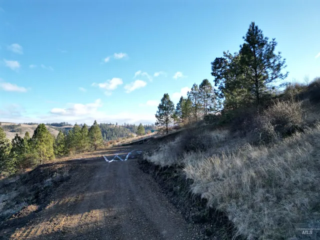 $110,000 | Tbd Tbd Canyon Road, Kooskia, ID 83539