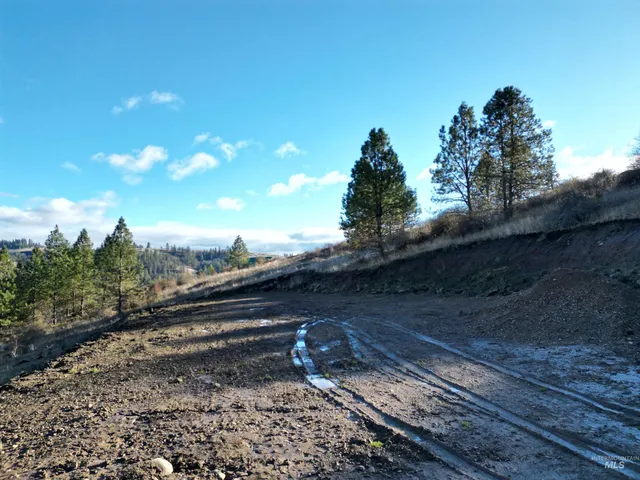 $110,000 | Tbd Tbd Canyon Road, Kooskia, ID 83539
