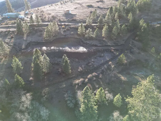 $110,000 | Tbd Tbd Canyon Road, Kooskia, ID 83539