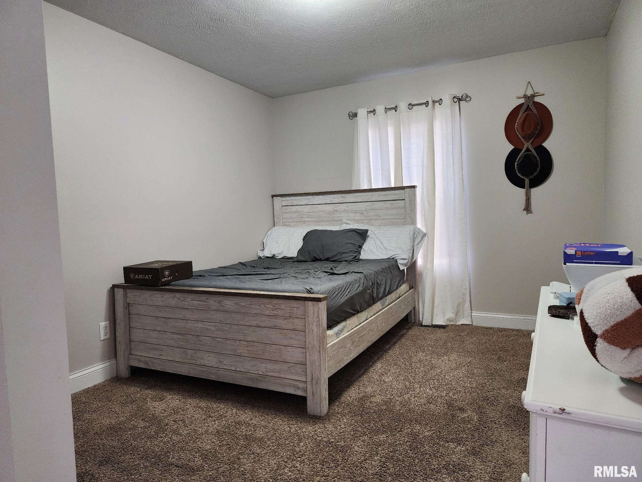 201 Washington Street Athens, IL 62613 - Photo 19 of 37 Gallery Image 19