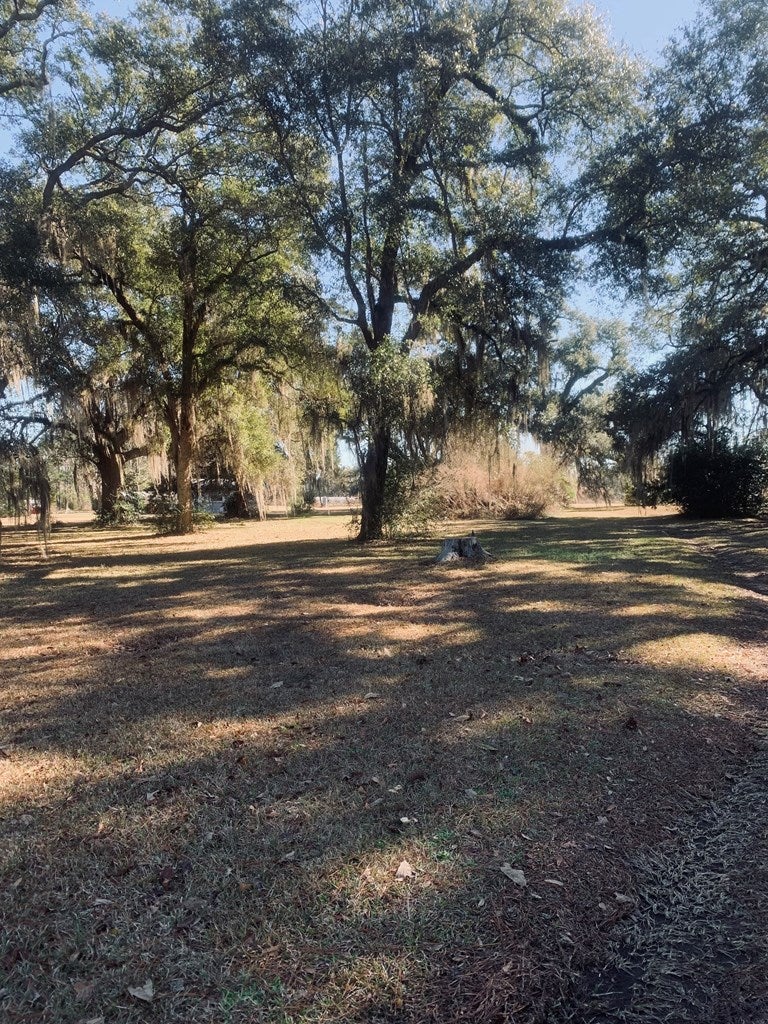 1235 Tired Creek Road Whigham, GA 39897 - Photo 11 of 11 Gallery Image 11