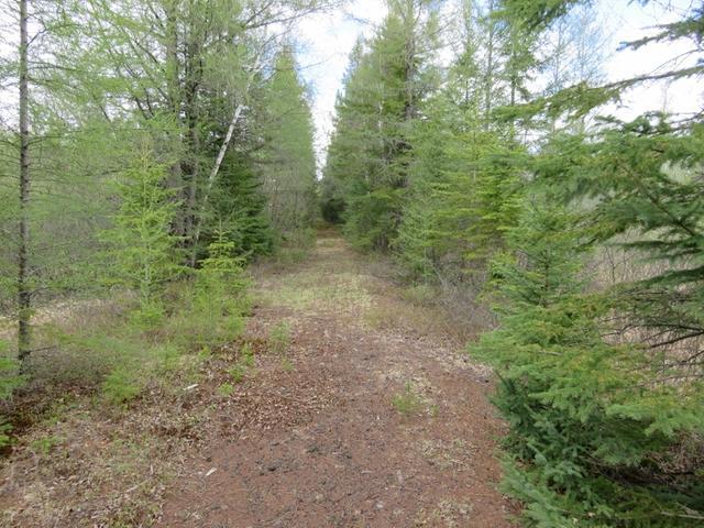 On Gagen Road, Unit 81 ACRS Rhinelander, WI 54501 - Photo 4 of 7 Gallery Image 4
