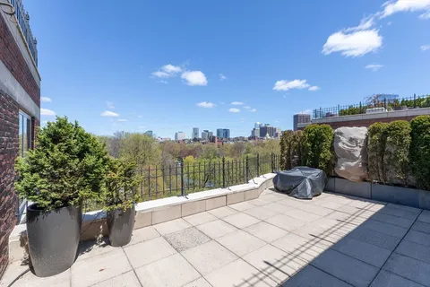 a view of a terrace with a potted plant