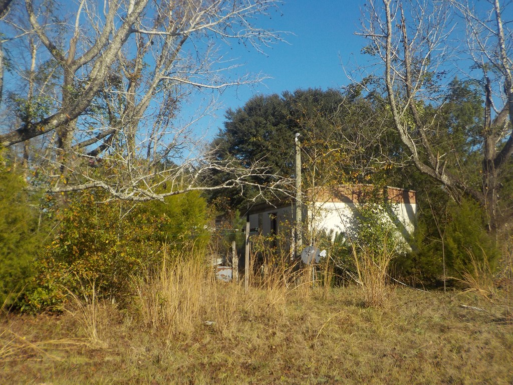 6904 South Cty Road Cottonwood, AL 36320 - Photo 19 of 23