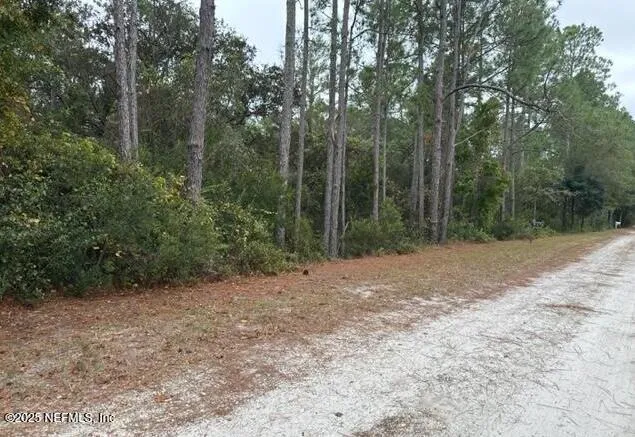 a view of a forest with trees in the background
