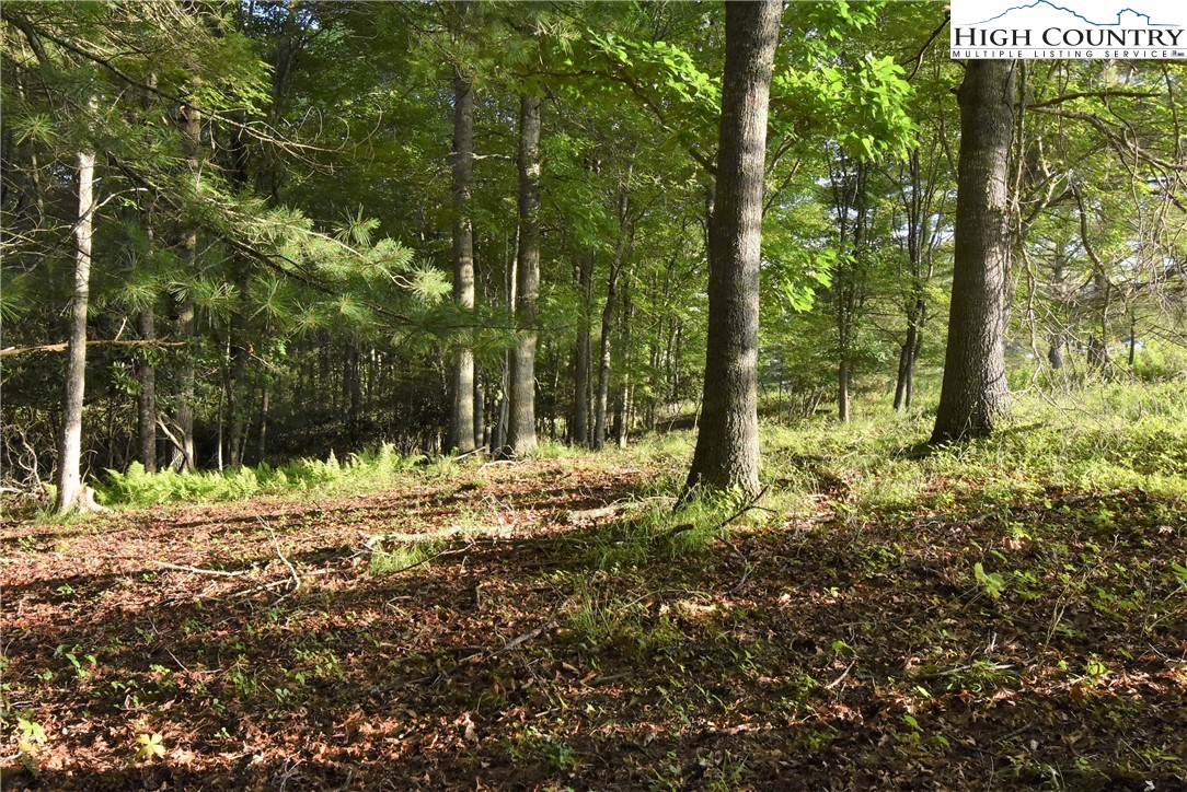 Fox Crest Crumpler, NC 28617 - Photo 12 of 26 Gallery Image 12