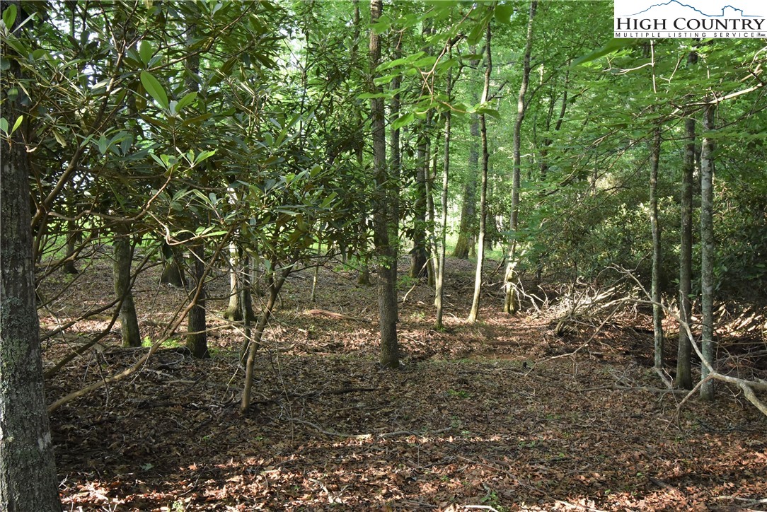 Fox Crest Crumpler, NC 28617 - Photo 14 of 26 Gallery Image 14