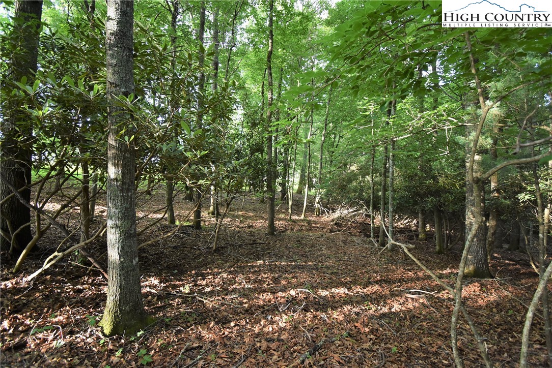 Fox Crest Crumpler, NC 28617 - Photo 15 of 26 Gallery Image 15