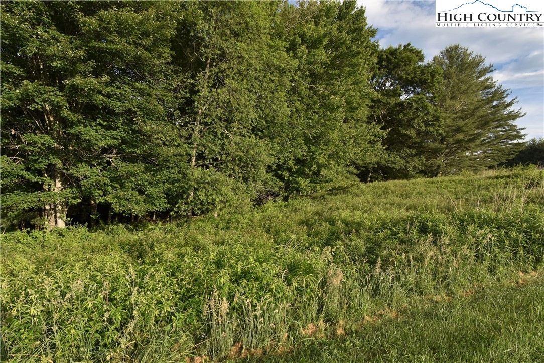 Fox Crest Crumpler, NC 28617 - Photo 16 of 26 Gallery Image 16