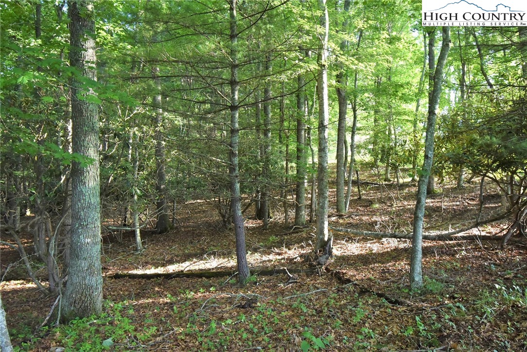 Fox Crest Crumpler, NC 28617 - Photo 23 of 26 Gallery Image 23