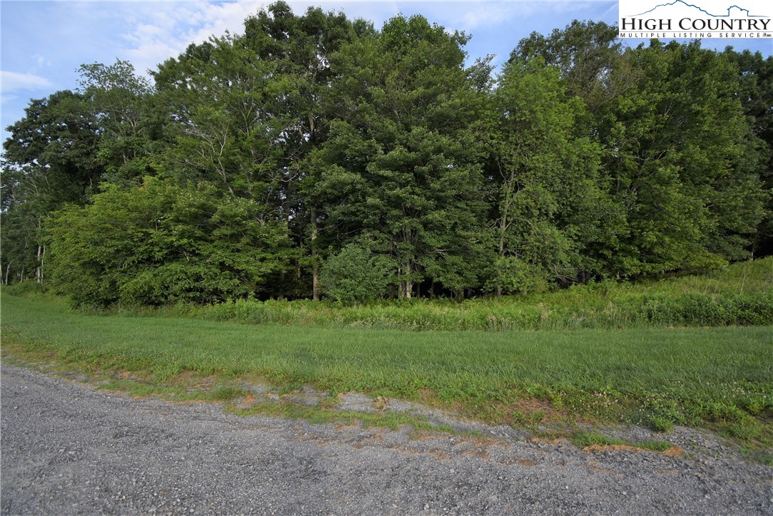 Fox Crest Crumpler, NC 28617 - Photo 5 of 26 Gallery Image 5