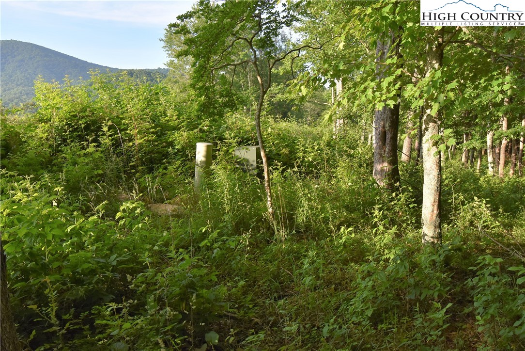 Fox Crest Crumpler, NC 28617 - Photo 8 of 26 Gallery Image 8