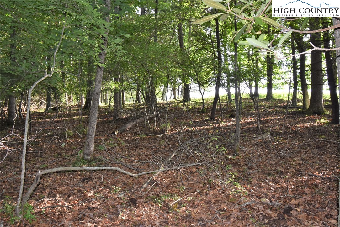 Fox Crest Crumpler, NC 28617 - Photo 9 of 26 Gallery Image 9