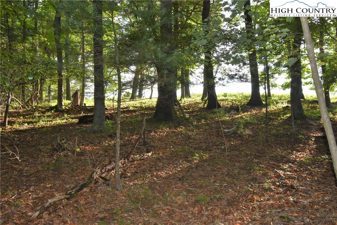 Fox Crest Crumpler, NC 28617 - Photo 10 of 26 Gallery Image 10