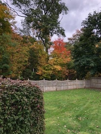 53 Cottonwood Road Wellesley, MA 02482 - Photo 4 of 33