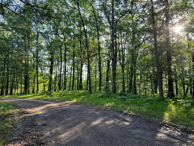 $284,900 | W76-xx W76-xx Chicog Lake Estate Road, Trego, WI 54888