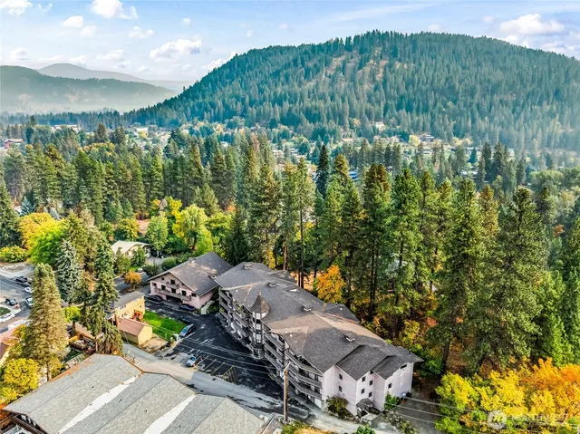 a view of a garden with plants