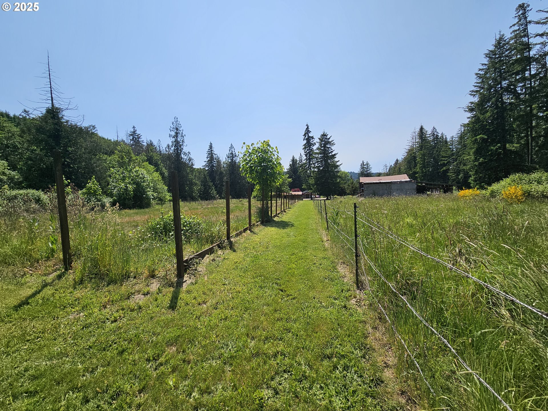 19016 South Lais Road Molalla, OR 97038 - Photo 39 of 48 Gallery Image 39