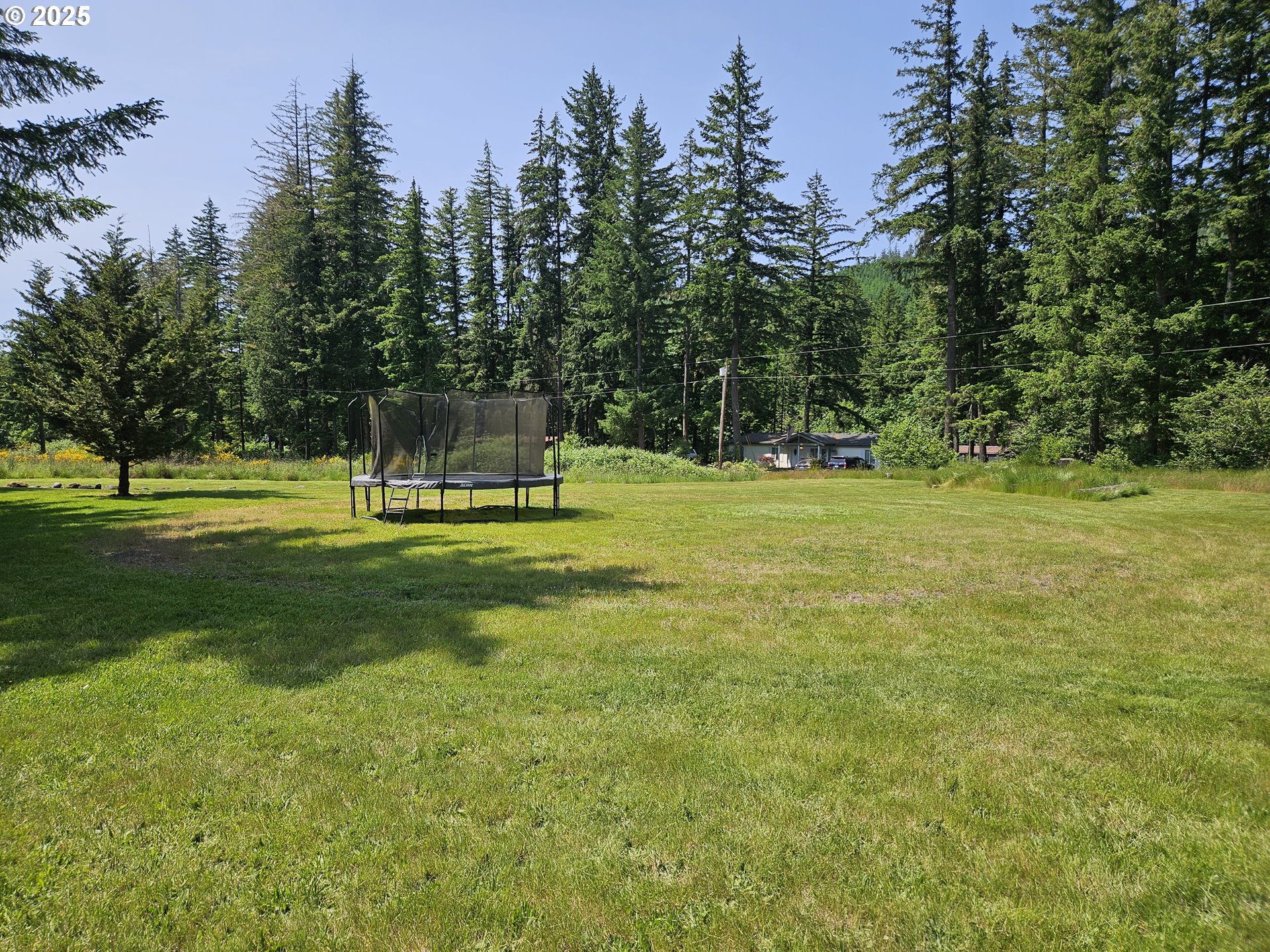 19016 South Lais Road Molalla, OR 97038 - Photo 40 of 48 Gallery Image 40