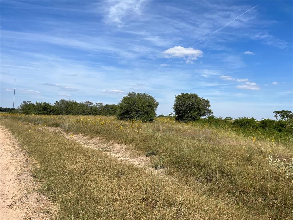 0 Crooked Road Cat Spring, TX 78933 - Photo 4 of 5 a view of lake and mountain