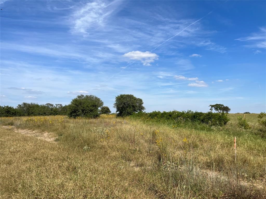 0 Crooked Road Cat Spring, TX 78933 - Photo 5 of 5 a view of a lake