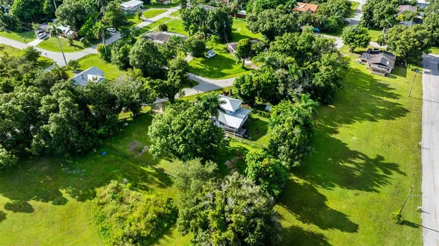 a view of a park with large trees