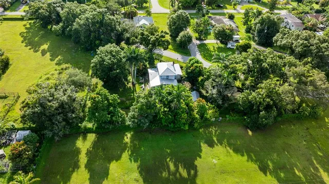 a view of a trees in a yard