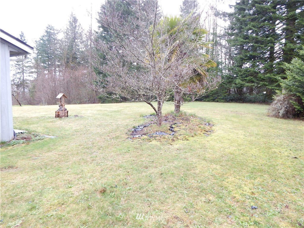 551 Beebe Road East Castle Rock, WA 98611 - Photo 6 of 20 Gallery Image 6