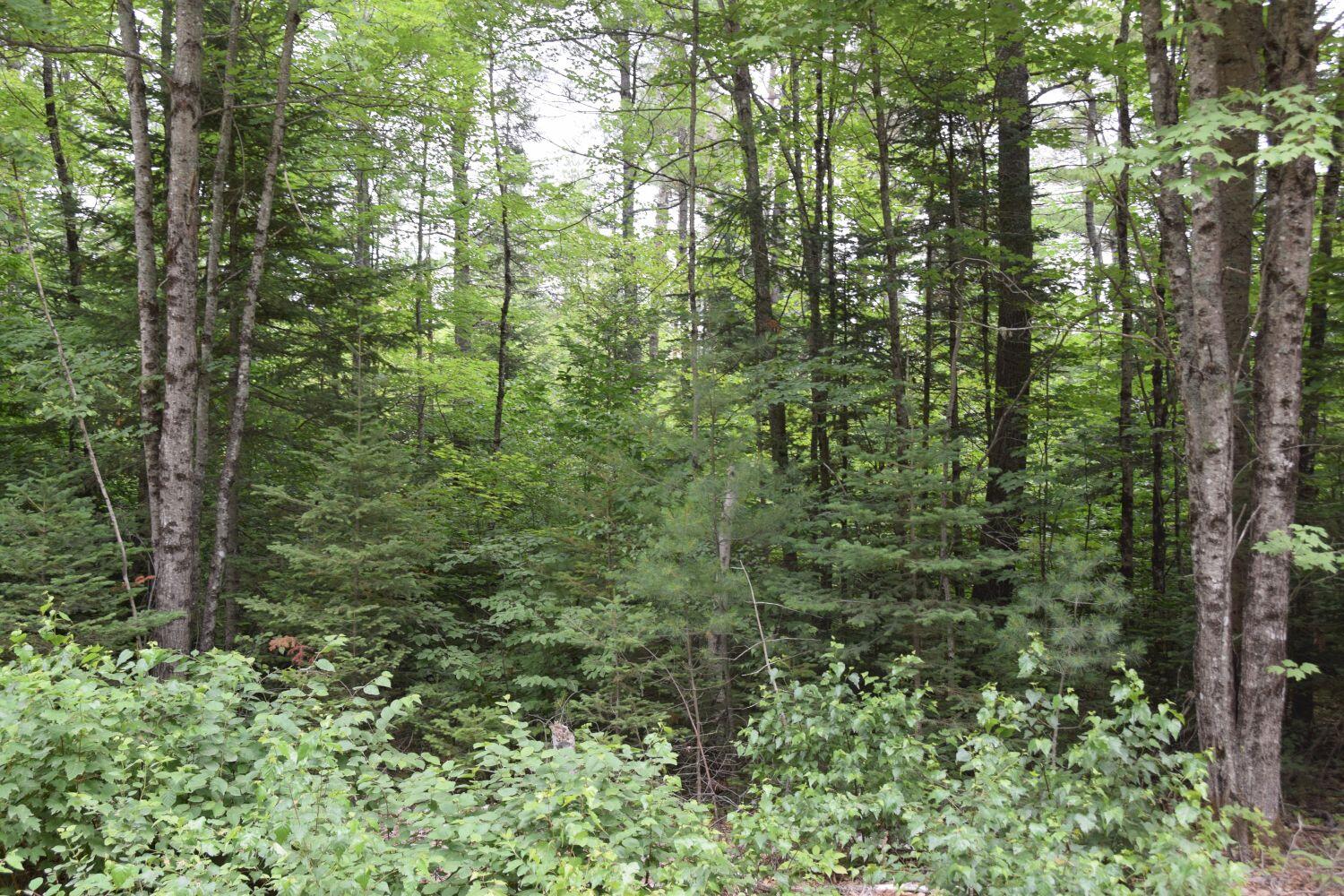 M1-l4 Steam Mill Road Cornville, ME 04976 - Photo 3 of 5 DSC_0016